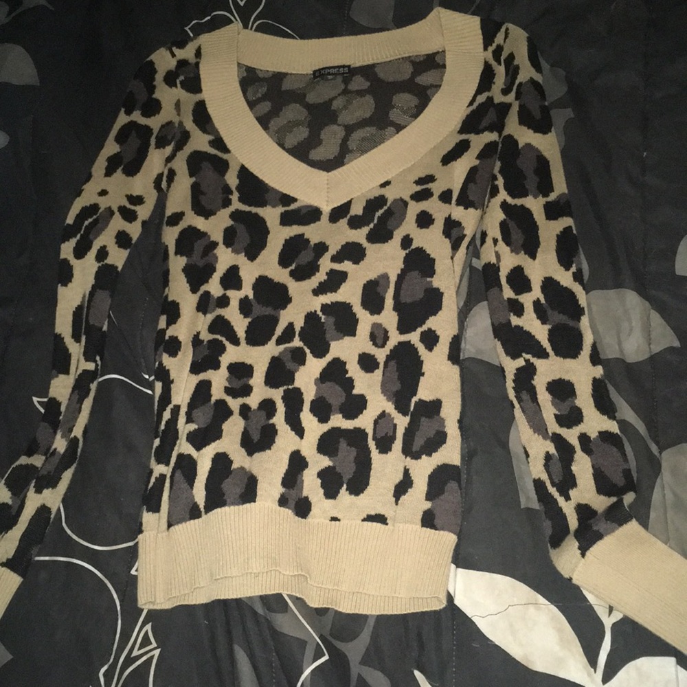 Express cheetah sweater!